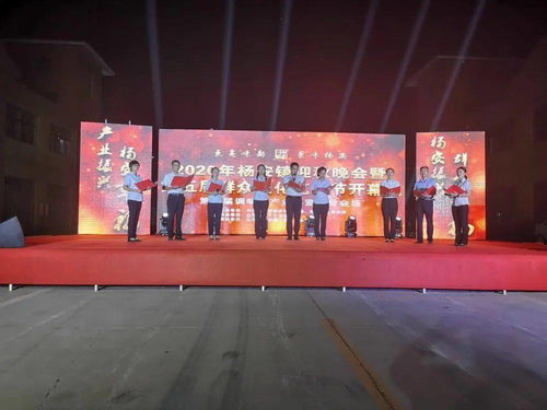 太热闹啦！2020杨安镇迎秋晚会暨第五届群众文化艺术节盛大开幕